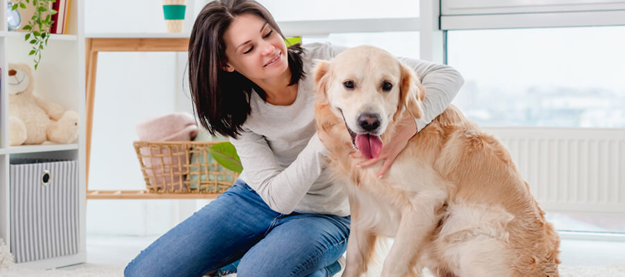 How to Help a Rescue Dog Adjust to Their New Home